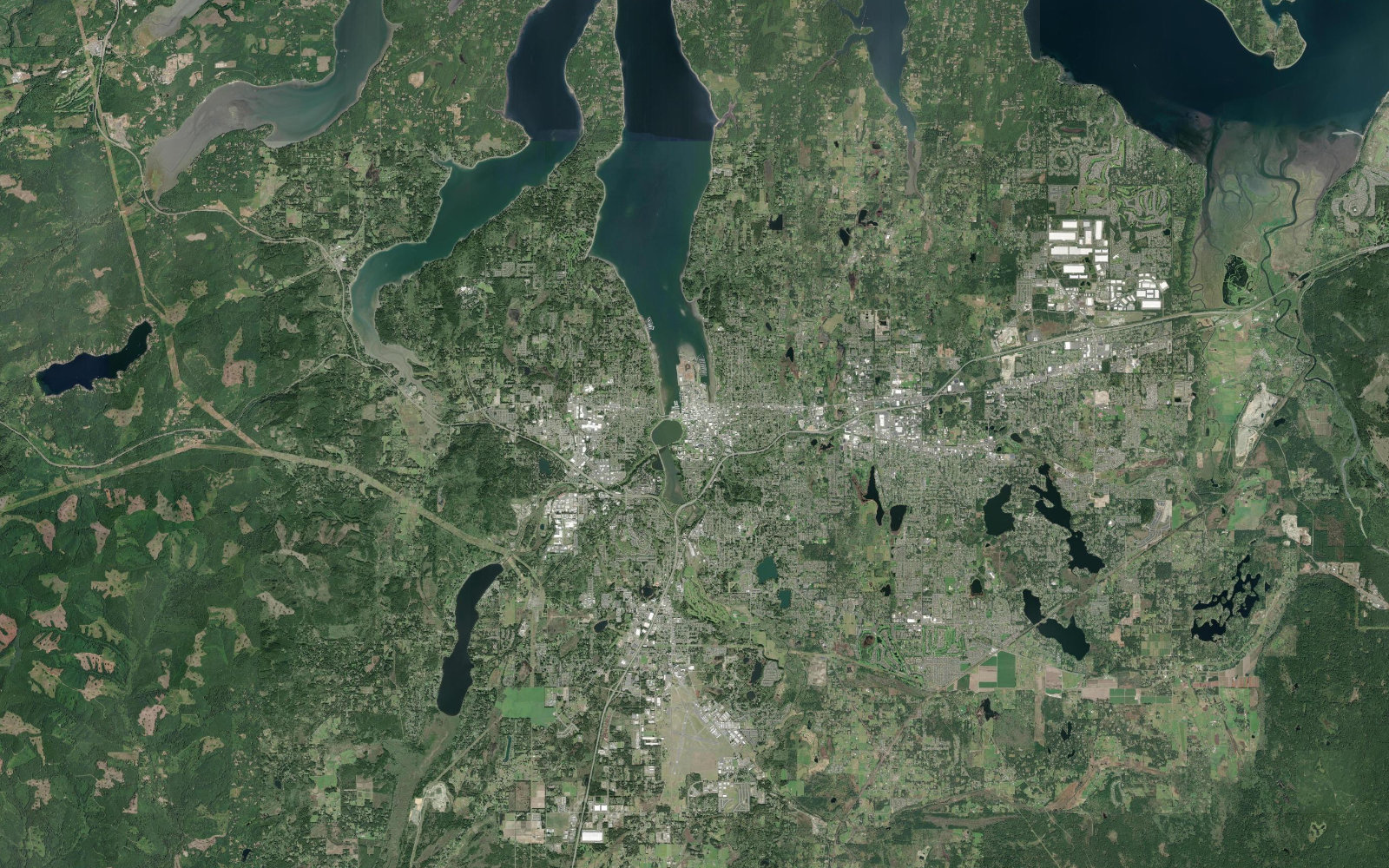 Esri World Imagery showing Olympia, Washington and the South Puget Sound region